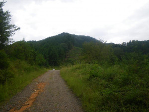 Imgp3883
