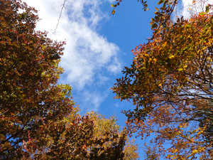 Dsc_6348 Dsc_6348