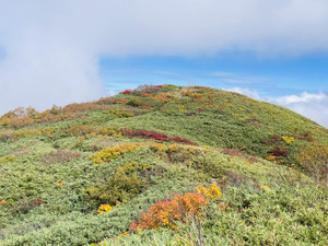 Img_1694