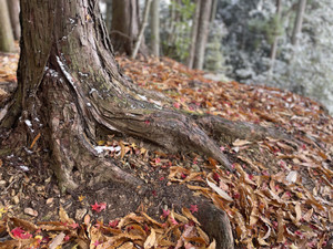 Img_2649_2 Img_2649_2