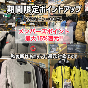 Wnvd4980