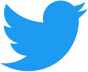 2021_twitter_logo_blue