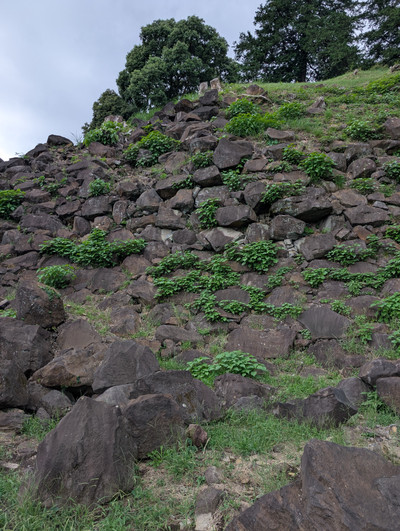 Pxl_20250921_050426645