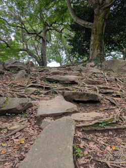 Pxl_20250921_051608035