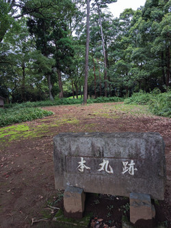 Pxl_20250921_0516580162