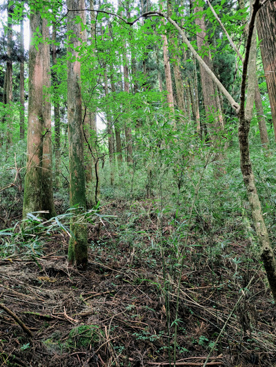 Pxl_20250922_0519151562