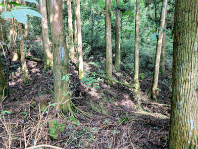 Pxl_20250922_0541119902