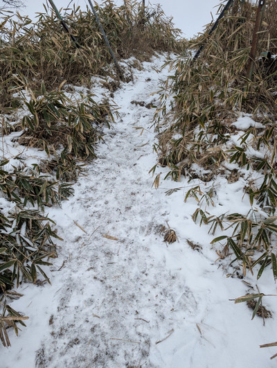 Pxl_20260113_022421193