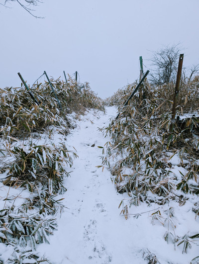 Pxl_20260113_0350413832