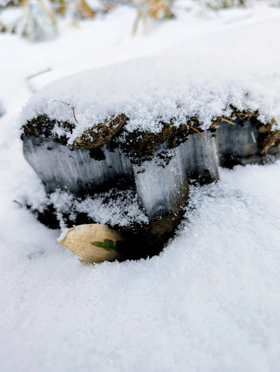 Pxl_20260113_0415115832