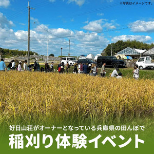 2510riceharvesting_1080x1080