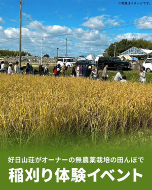 2510riceharvesting_1080x1350_1