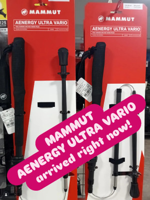 Mammut_trekking_pole