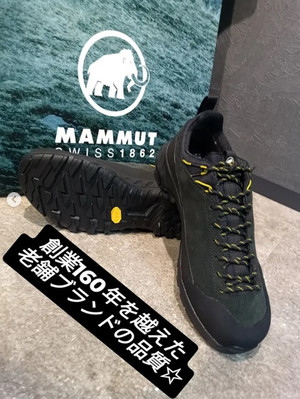 Mammut_2