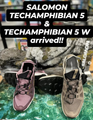 Techamphibian
