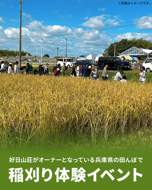 2510riceharvesting_1080x1350 2510riceharvesting_1080x1350