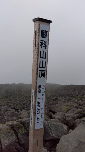 Photo_3
