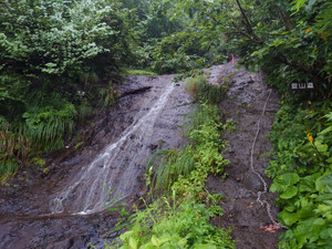 Thumbnail_20250826_052616