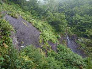 Thumbnail_20250826_053707