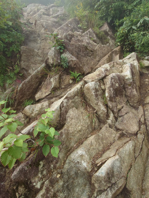 Thumbnail_20250826_090151