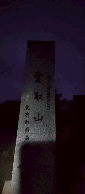 17586059114131