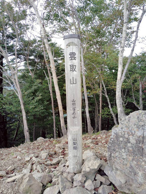 17586059240601