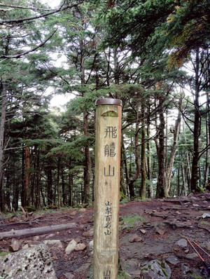17586059464891