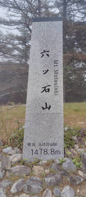 17585984652231