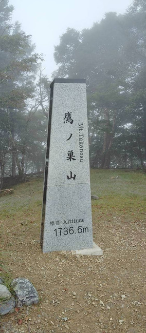 17586059062931