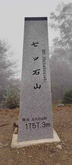 17586059099701