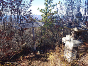 Thumbnail_20251119_120609