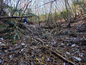 Thumbnail_20251119_131104