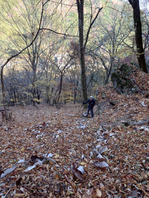 Thumbnail_20251120_114552