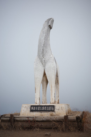 来年は午年（うまどし）なので陣馬山に行ってきました。