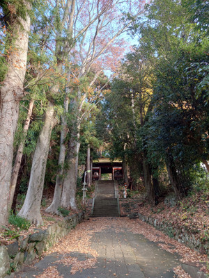 Thumbnail_20251202_080940