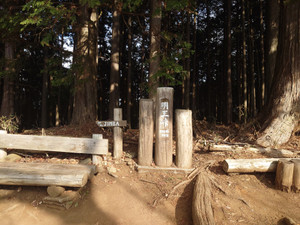 Thumbnail_20251202_100400