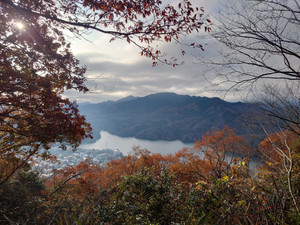 Thumbnail_20251202_082910