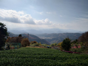 Thumbnail_20251202_120533