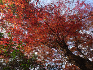 Thumbnail_20251202_124650