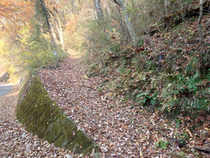 Thumbnail_20251202_134538