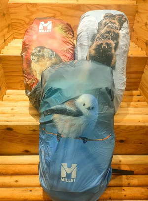 31bf27c5a5c140449fc79e0b4c46a4fc