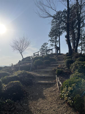 8546098d5948436a9a94ad97acf339af 8546098d5948436a9a94ad97acf339af