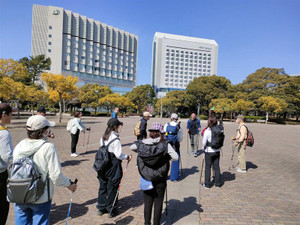 965fca606a5a4b0bb773477856acd4c3