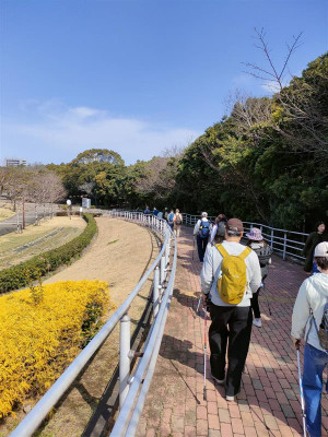 A9fdfaac9091404fbf441a663bf39fa4