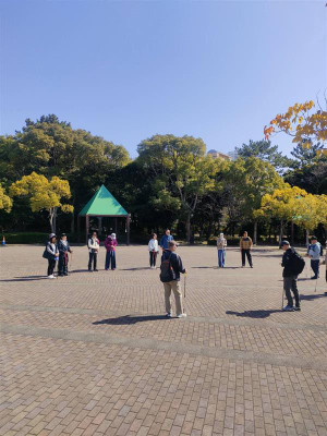 D48cd824561d4b4c89acc3762abd7034