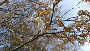 Imgp0028
