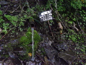 Imgp0098