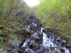 Imgp0146