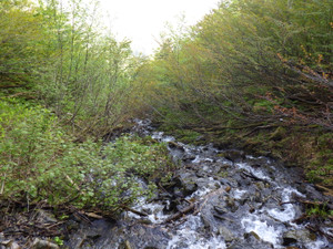 Imgp0147