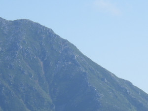 Imgp0160